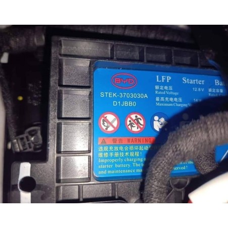 Акумулятор электромобиль BYD STEK-3703030A 12.8V 13.6Ah