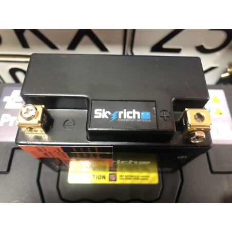 Акумулятор Skyrich BT01L-16-GFP Li-Ion 12V19.2Wh 96CCA