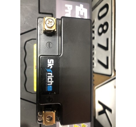 Акумулятор Skyrich BT01L-16-GFP Li-Ion 12V19.2Wh 96CCA