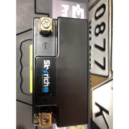 Акумулятор Skyrich BT01L-16-GFP Li-Ion 12V19.2Wh 96CCA