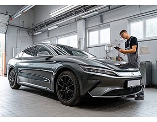 Відновлення акумулятора для BYD Lithium STHA-3703030A D1JBB0 12.8V 22Ah